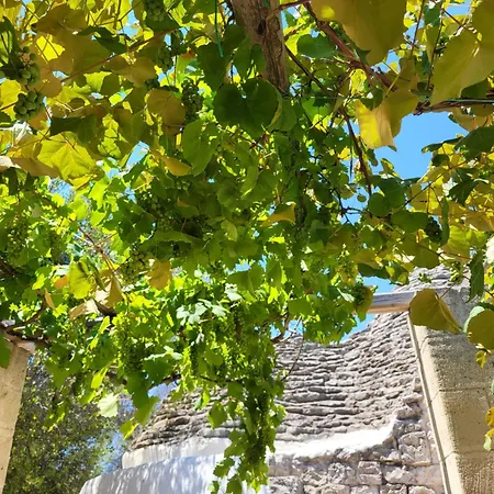 Apartment Trullo Incantevole Ostuni
